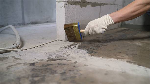Top rated local Waterproofing specialists in Hazel Green, AL
